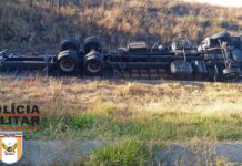 Motorista de 34 anos fica ferido após caminhão carregado com mangas capotar na BR-146 na Serra da Catiara