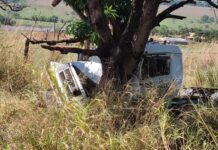 Caminhoneiro de 63 anos morre ao perder o controle da direção e bater em árvore na MGC 354 em Patos de Minas