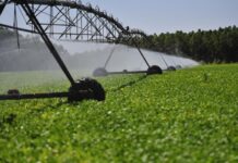 Governo de Minas sanciona lei que vai permitir aumento das áreas irrigadas