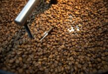 Agricultura manda recolher 16 marcas de cafés impróprios para consumo