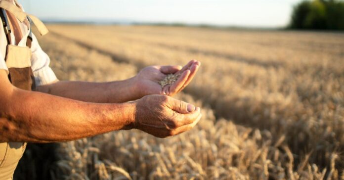 Estiagem-produtor-rural-Credito-Freepik