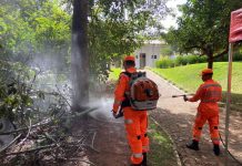 Corpo de Bombeiros apresenta plano de prevenção e resposta ao período de estiagem