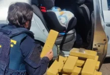 Polícia Rodoviária Federal aborda carro e prende trio com 30 barras de maconha na BR 365 em Patos de Minas