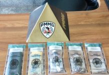 Polícia Militar prende homem por tráfico de drogas e cumpre mandado de prisão em Guarda dos Ferreiros