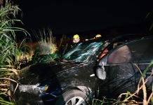 Capotamento deixa mulher ferida após motorista desviar de animal na BR-354 em São Gotardo