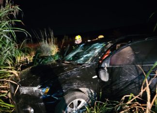 Capotamento deixa mulher ferida após motorista desviar de animal na BR-354 em São Gotardo