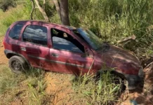 Homem de 26 anos é preso por dirigir embriagado após bater em árvore em Lagoa Formosa