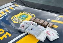 Policia Rodoviária Federal apreende drogas incomuns e de alto valor em ônibus na BR 365 em Patos de Minas