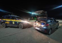 PRF apreende cerca de 130 kg de maconha e prende motorista na BR-262 em Araxá