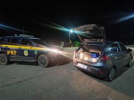 PRF apreende cerca de 130 kg de maconha e prende motorista na BR-262 em Araxá