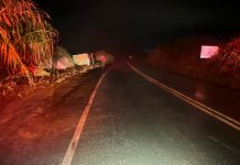 Motorista perde controle em curva, sai da pista e tomba caminhão carregado com cenouras na BR-354 em Rio Paranaíba