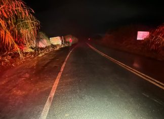 Motorista perde controle em curva, sai da pista e tomba caminhão carregado com cenouras na BR-354 em Rio Paranaíba