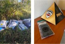 Homem é preso suspeito de furtar ração animal em propriedade rural de Carmo do Paranaíba