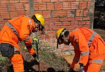 Corpo de Bombeiros capturam três serpentes de grande porte em lote de Carmo do Paranaíba