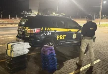 Polícia Rodoviária Federal apreende cerca de duzentos quilos de maconha após perseguição na BR-365 em Uberlândia
