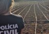 Polícia Civil descobre estrutura avançada de plantio de maconha em Unaí