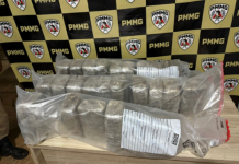 Mulher de 35 anos é presa com quase 27 quilos de maconha na BR-452 em Araxá