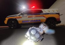 PMRv descobre desmanche de motos após apreender motor furtado na BR-352 em Abadia dos Dourados
