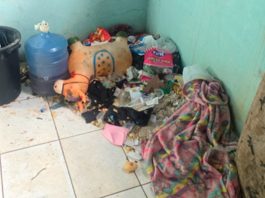 Mãe é presa após criança de 2 anos ser encontrada sozinha em meio ao lixo dentro de casa em Patos de Minas