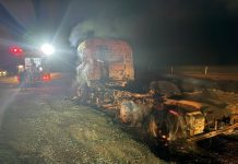 Caminhão fica destruído após ser tomado por incêndio na BR 365 em Varjão de Minas