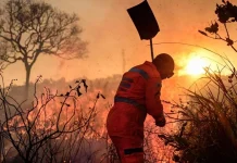 Período crítico de seca acende alerta para risco de incêndios às margens das rodovias em Minas Gerais
