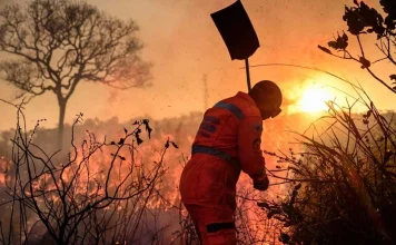 Período crítico de seca acende alerta para risco de incêndios às margens das rodovias em Minas Gerais