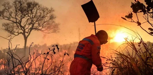 Período crítico de seca acende alerta para risco de incêndios às margens das rodovias em Minas Gerais