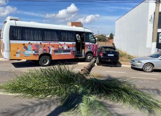 Micro-ônibus que transporta pacientes de Carmo do Paranaíba desce avenida desgovernado e provoca sequência de colisões em Patos de Minas