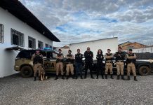 Operação conjunta da Polícia Civil e Polícia Militar apreende revólver durante cumprimento de mandado em Arapuá