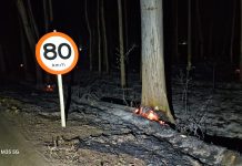 Rodovia AMG-1410 é interditada após incêndios e risco de queda de eucaliptos em Carmo do Paranaíba