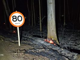 Rodovia AMG-1410 é interditada após incêndios e risco de queda de eucaliptos em Carmo do Paranaíba