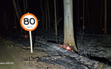 Rodovia AMG-1410 é interditada após incêndios e risco de queda de eucaliptos em Carmo do Paranaíba