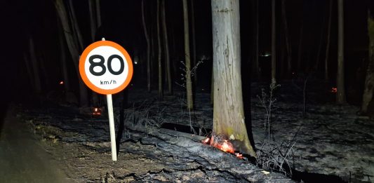 Rodovia AMG-1410 é interditada após incêndios e risco de queda de eucaliptos em Carmo do Paranaíba