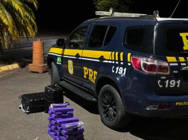 Polícia Rodoviária Federal apreende 36 quilos de maconha em ônibus durante fiscalização na BR-365 em Patos de Minas