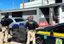 Polícia Rodoviária Federal apreende 217 kg de maconha na BR-365 em João Pinheiro