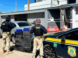 Polícia Rodoviária Federal apreende 217 kg de maconha na BR-365 em João Pinheiro