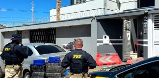 Polícia Rodoviária Federal apreende 217 kg de maconha na BR-365 em João Pinheiro