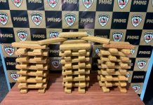 Polícias Militar e Civil realizam operação e apreende 87 barras de maconha em residência de São Gotardo