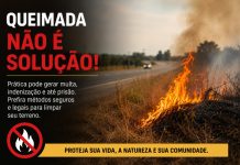 Queimada para limpar terreno pode acabar em multa, indenização e prisão
