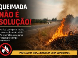 Queimada para limpar terreno pode acabar em multa, indenização e prisão