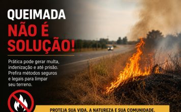 Queimada para limpar terreno pode acabar em multa, indenização e prisão